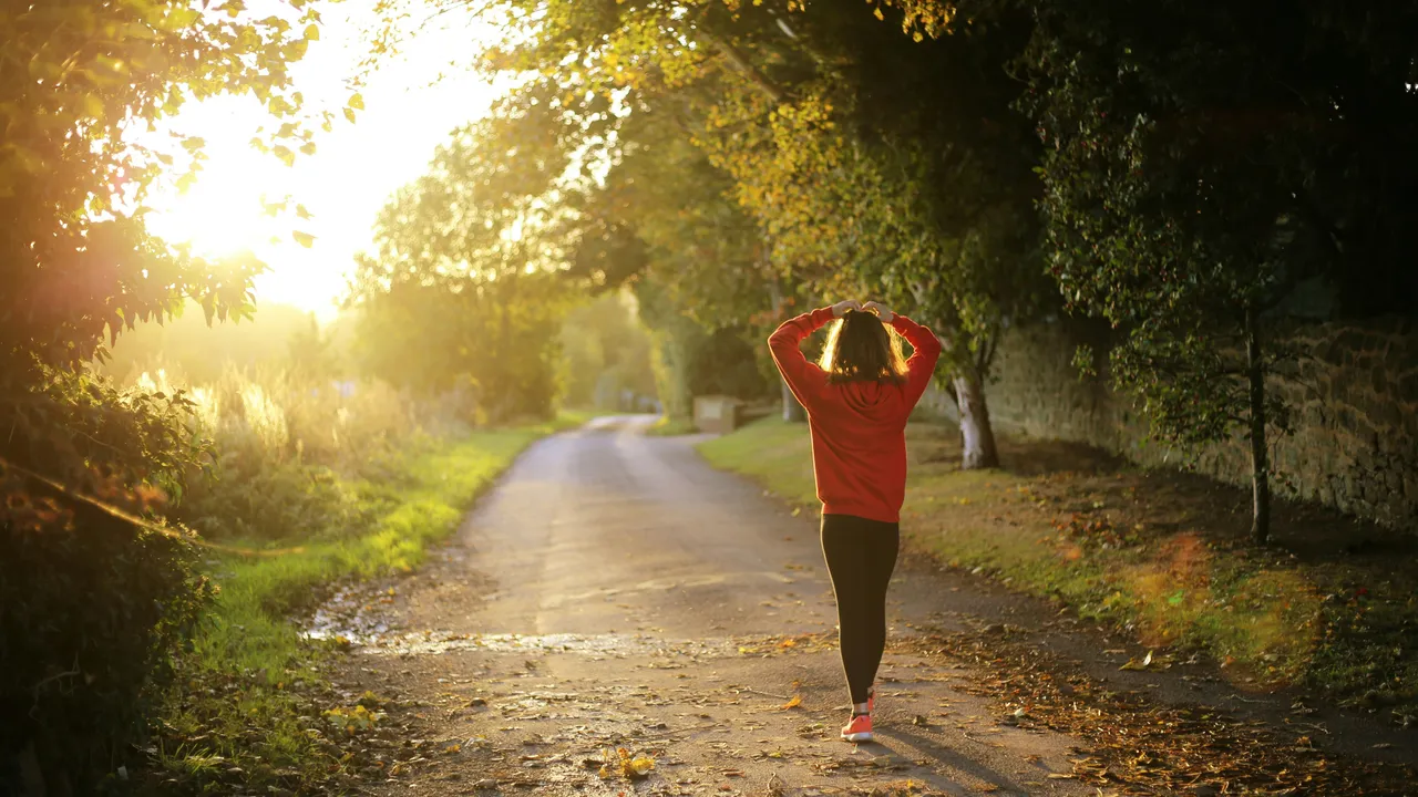 Person in a red sweatshirt walking on a tree-lined path during sunset